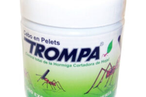Los 9 mejores insecticidas para hormigas